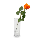 Bouquet of orange roses